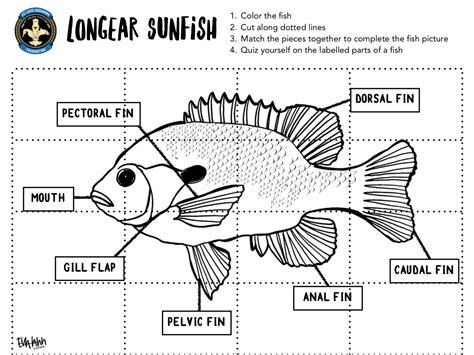 st louis aquarium student discount|Homeschool Days .